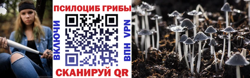 Галлюциногенные грибы ЛСД Ноябрьск