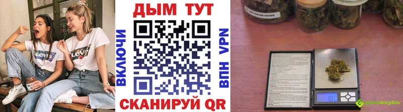 Бошки Шишки индика Ноябрьск